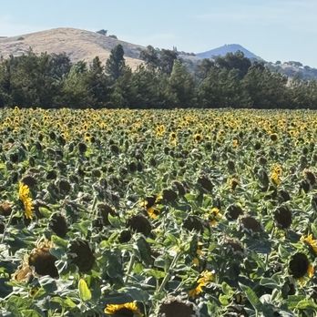 LJB Farms - Grocery Near Me - San Martin, California