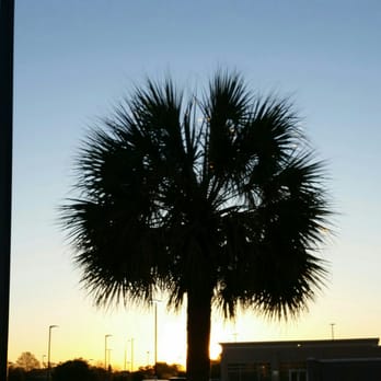 Hampton Inn & Suites Florence Center - Morning - Hotels Near Me - Florence, South Carolina Hampton Inn & Suites Florence Center - Morning - Hotels Near Me - Florence, South Carolina