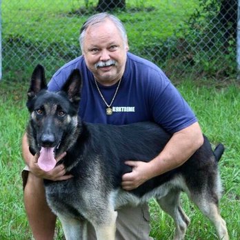 Wolves Den Ranch - Apollo - Pet Breeders Near Me - Dunnellon, Florida Wolves Den Ranch - Apollo - Pet Breeders Near Me - Dunnellon, Florida