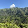 Photo of Pu'u Pia Trail