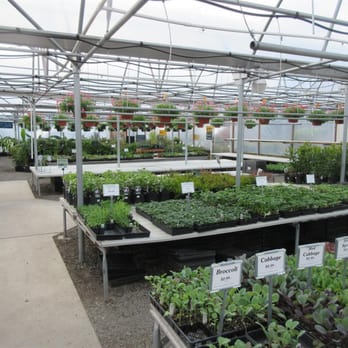 Tony's Garden Center - Vegetable Land - Nurseries & Gardening Near Me - Portland, Oregon Tony's Garden Center - Vegetable Land - Nurseries & Gardening Near Me - Portland, Oregon