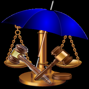 The Barrie Law Center - immigration attorney in Silver Spring, MD