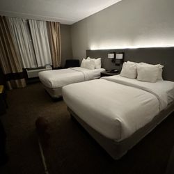 Comfort Inn Herndon-Reston - Beds.