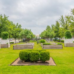 McKinney Village At Medical District