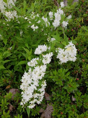 Mt. Hood Community College by null