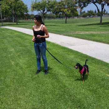Rynerson Park - Out walking the baby - Parks Near Me - Lakewood, California Rynerson Park - Out walking the baby - Parks Near Me - Lakewood, California
