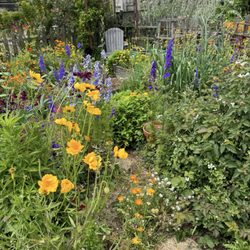 Santa Monica Community Garden