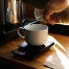 Fiddle Leaf Cafe gift card