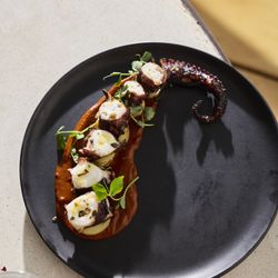 Octopus dish from Chaval Maine