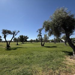 Park view