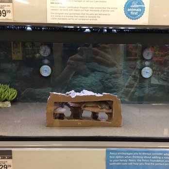 Petco - Pet Training Near Me - Holland, Michigan