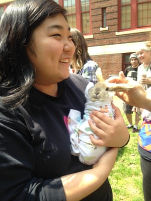 Photo of Massachusetts College of Art and Design - Boston, MA, US. Revive for Reviews - Baby Farm Animals arrive to help students de-stress during finals