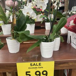 Kroger Marketplace