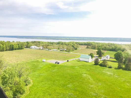 Hosmer Winery by null