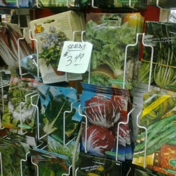 Verni's Garden Center - Nurseries & Gardening Near Me - East Elmhurst, New York Verni's Garden Center - Nurseries & Gardening Near Me - East Elmhurst, New York