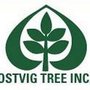 Photo of Ostvig Tree