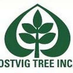 Ostvig Tree