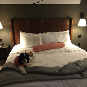 Origin Hotel Red Rocks - Hotels Near Me - Golden, Colorado