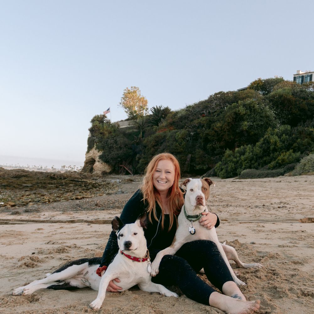 No Kill Shelter Open Today Fairfield, CA - Last Updated January 2026 - Yelp