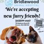 Photo of Bridlewood Animal Hospital