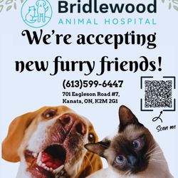 Bridlewood Animal Hospital - We're accepting new clients all the time!