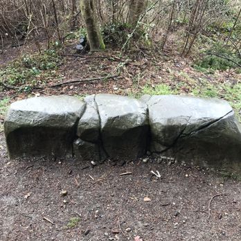 Lakewood Park Disc Golf Course - Most tees have these benches. - Parks Near Me - Seattle, Washington Lakewood Park Disc Golf Course - Most tees have these benches. - Parks Near Me - Seattle, Washington