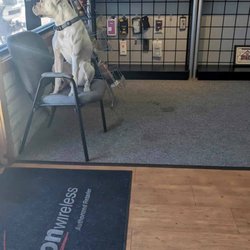 Payson Wireless, Verizon Authorized Retailer - Do not go to this store if you have allergies, there are two large dogs in this store and stains on carpet all over the store.
