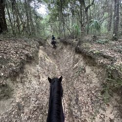 Choyce - Walking up a ravine was pretty awesome