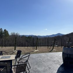 Brent Manor Vineyards - Beautiful views