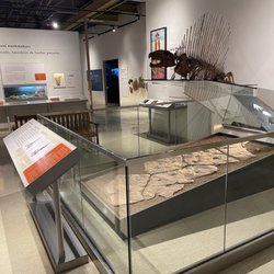 Las Cruces Museum of Art - Pelycosaur dimetrodon, Las Cruces, museum of art, June 1, 2023