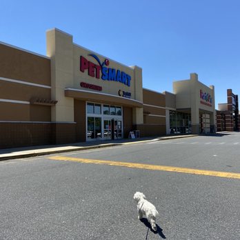 PetSmart - Pet Groomers Near Me - Tallahassee, Florida