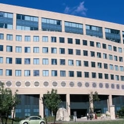 Hult International Business School