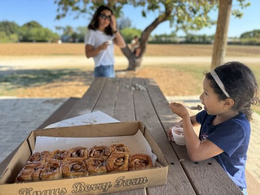 Knaus Berry Farm by null