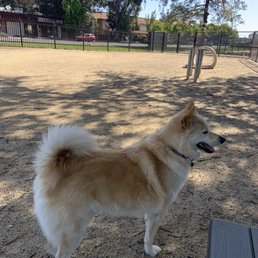 Small dog park (obstacle course in background) Small dog park (obstacle course in background)
