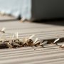 Holley's Four Seasons Pest Solutions