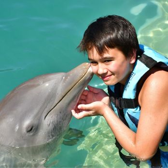 Dolphin Discovery Costa Maya - Water Parks Near Me - Mahahual, ROO