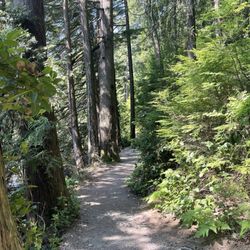 White Pine Beach