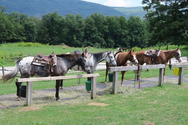 Mountain View Ranch by null