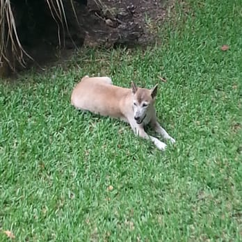 Zoo Miami - Zoos Near Me - Miami, Florida Zoo Miami - Zoos Near Me - Miami, Florida
