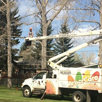 Arborcare Tree Service - a man on a cherry picker - Tree Services Near Me