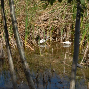 Lakes Regional Park - Parks Near Me - Fort Myers, Florida Lakes Regional Park - Parks Near Me - Fort Myers, Florida