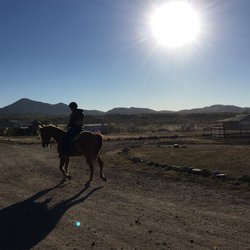 Training my horse