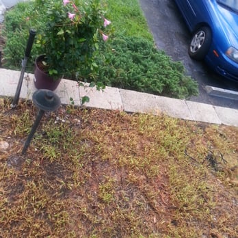 Rick Roberts Lawn Service - Landscaping Near Me - Lehigh Acres, Florida