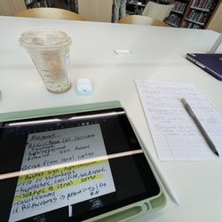 New York Public Library - Charleston Library - Studying