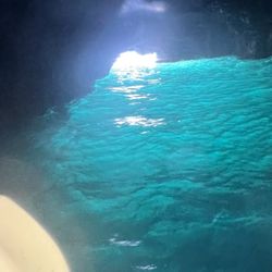 Channel Islands Expeditions