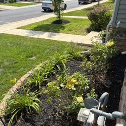 Nur’s Landscaping - Landscaping