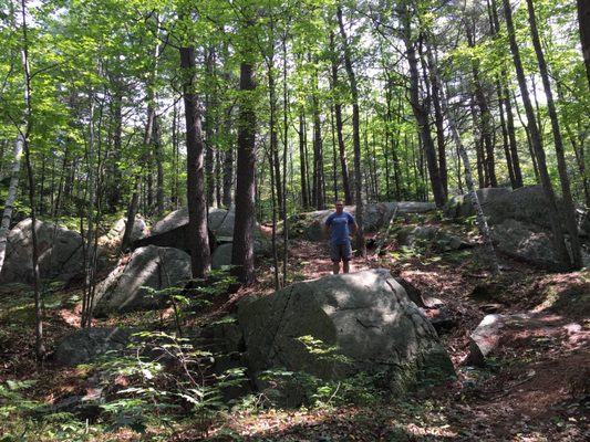 Clifford Park by null