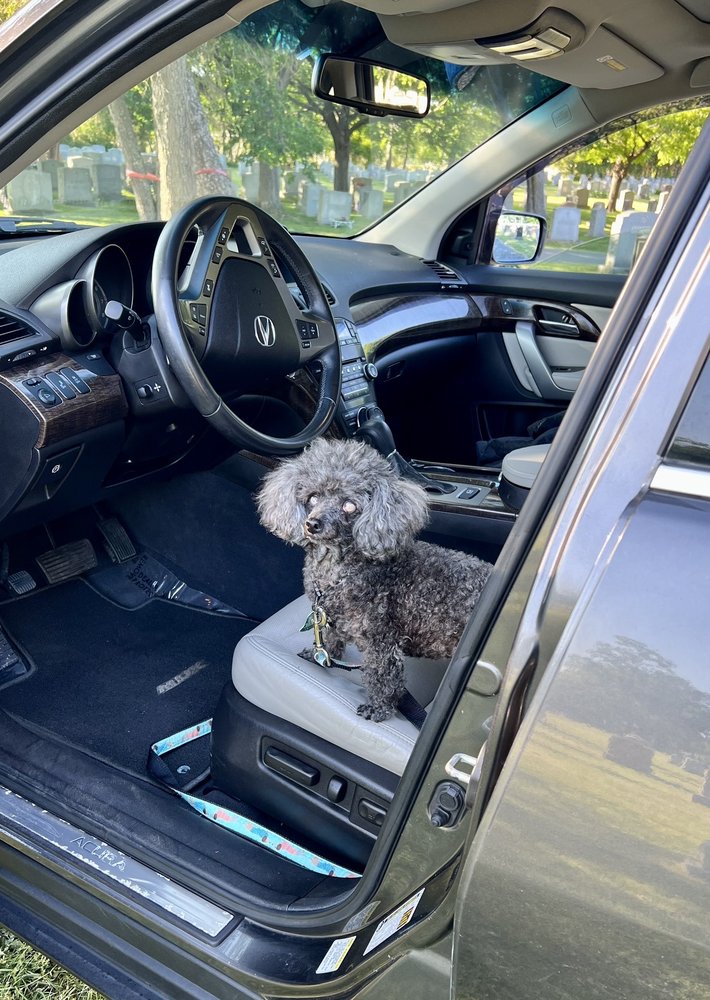 UNITED AUTO NATICK Updated July 2024 135 W Central St, Natick