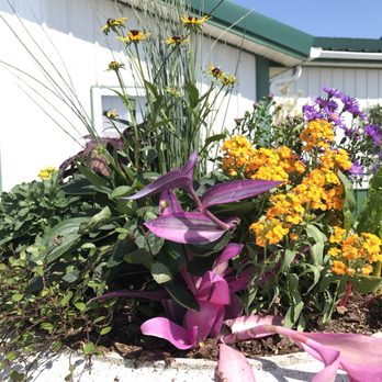 Perennials Plus - Nurseries & Gardening Near Me - Westfield, Indiana