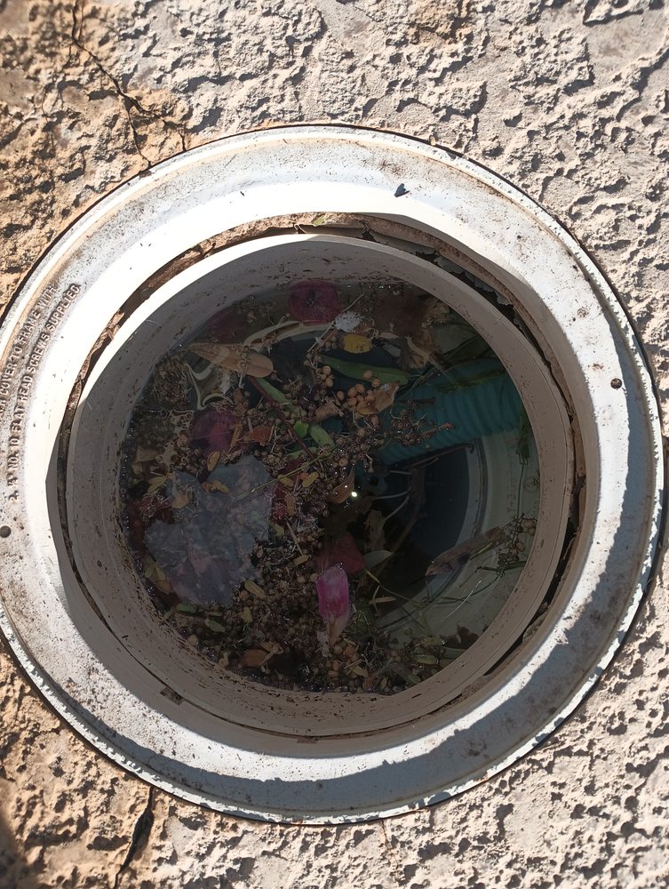 POOLCHLOR OF TUCSON Updated September 2024 3116 E Pennsylvania St